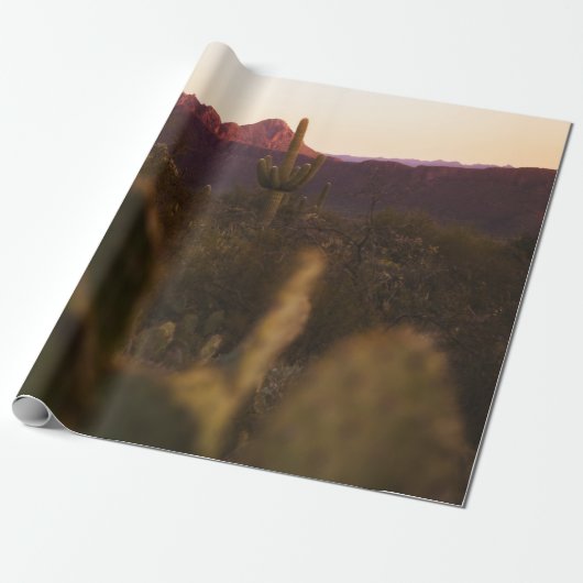 PAPIER CADEAU CHAMP GREEN GRASS (Déroulé)