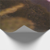 PAPIER CADEAU CHAMP GREEN GRASS (Coin)