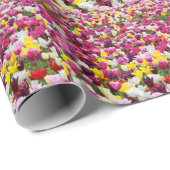 Papier Cadeau champ plein de tulipes (Coin rond)