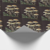 Papier Cadeau Champignons (Coin)