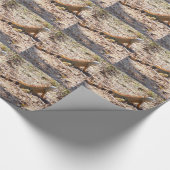 Papier Cadeau Chasse à l'Iguana orange (Coin)