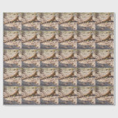 Papier Cadeau Chasse à l'Iguana orange (Plat)