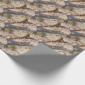 Papier Cadeau Chasse à l'Iguana orange (Coin)