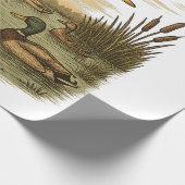 Papier Cadeau Chasse-Rétro-Vol-Caner-Colvert (Coin)