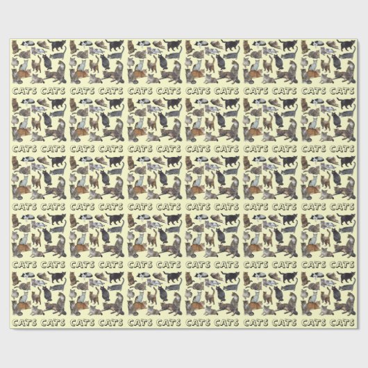 Papier Cadeau Chat (Plat)