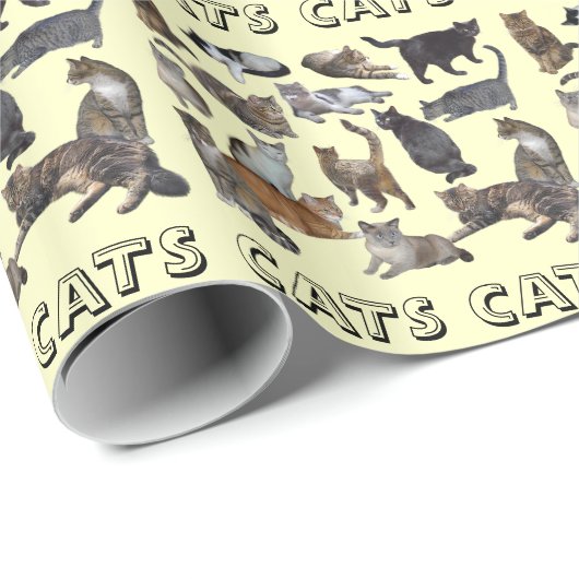 Papier Cadeau Chat (Coin rond)