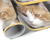 Papier Cadeau chat (Coin rond)