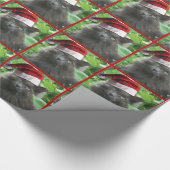 Papier Cadeau Chat à cheveux longs bleu russe de Noël (Coin)