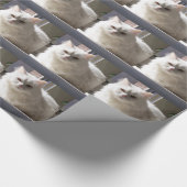 Papier Cadeau Chat À La Maison (Coin)