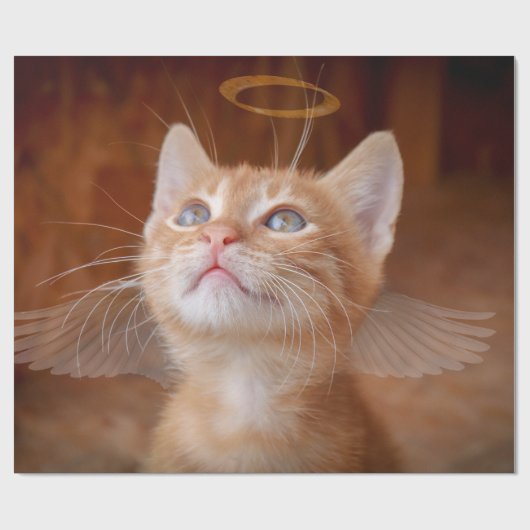 Papier cadeau chat ange (Plat)