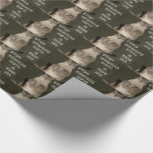 Papier Cadeau Chat "ARRÊTER D'OUVRIR DES CADEAUX ET ME NOURRIR"  (Coin)