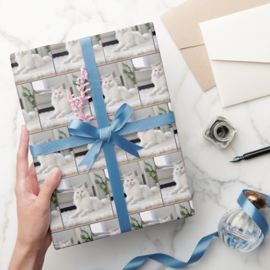 Papier Cadeau Chat Blanc Sur Un Tapis À Fourrure (Cadeaux)