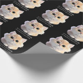 Papier Cadeau Chat chaton blanc et orange moelleux (Coin)