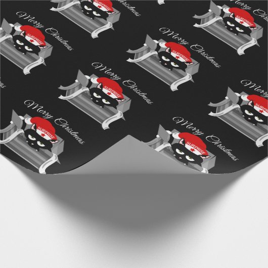 Papier Cadeau Chat dans une boîte Noël drôle (Coin)