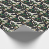 Papier Cadeau Chat de la Saint Patrick (Coin)