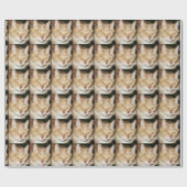 Papier Cadeau Chat de ragondin du Maine (Plat)