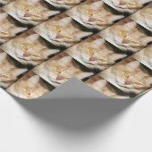Papier Cadeau Chat de ragondin du Maine (Coin)