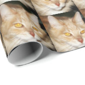Papier Cadeau Chat de ragondin du Maine (Coin rond)
