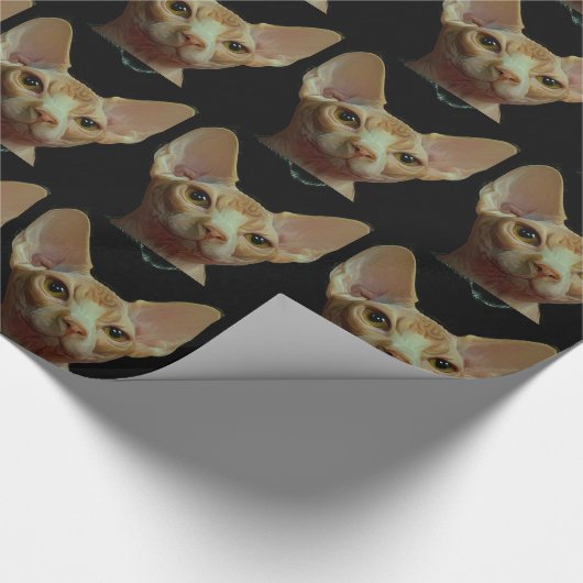 Papier Cadeau chat de sphynx (Coin)