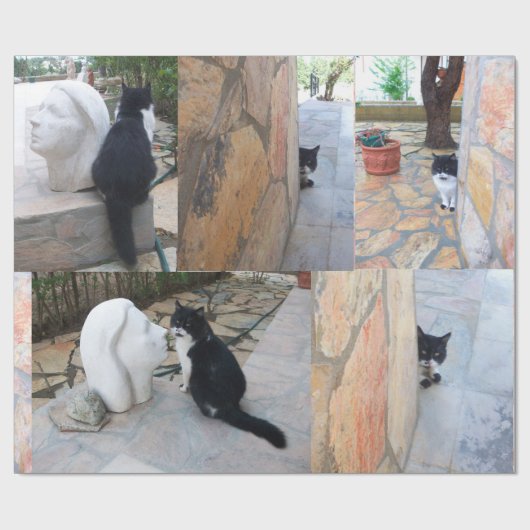 PAPIER CADEAU CHAT DÉTECTIF DERRIÈRE LE MUR DE PIERRE (Plat)