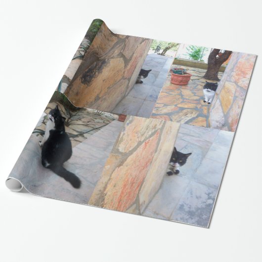 PAPIER CADEAU CHAT DÉTECTIF DERRIÈRE LE MUR DE PIERRE (Déroulé)