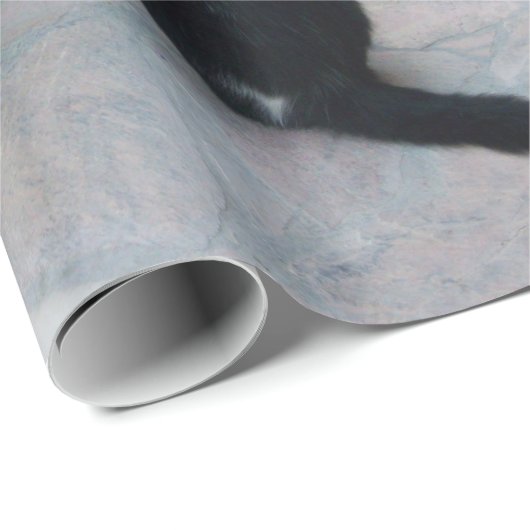 PAPIER CADEAU CHAT DÉTECTIF DERRIÈRE LE MUR DE PIERRE (Coin rond)