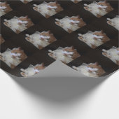 Papier Cadeau Chat en dentelle (Coin)