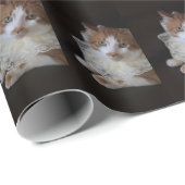 Papier Cadeau Chat en dentelle (Coin rond)