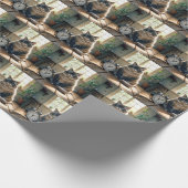 Papier Cadeau Chat gras en attente d'un bol d'alimentation vide (Coin)