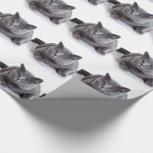 Papier Cadeau Chat gris (Coin)