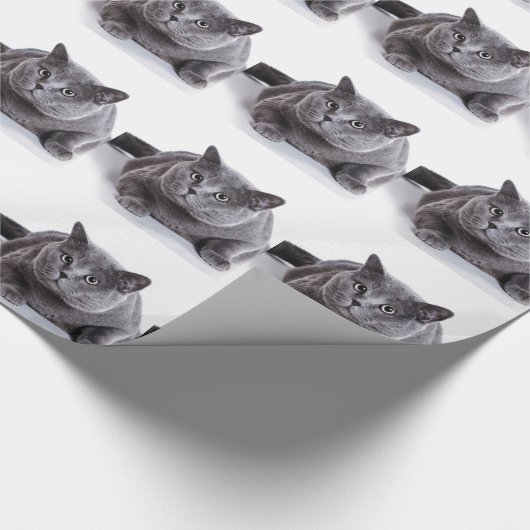 Papier Cadeau Chat gris (Coin)