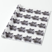 Papier Cadeau Chat gris (Déroulé)