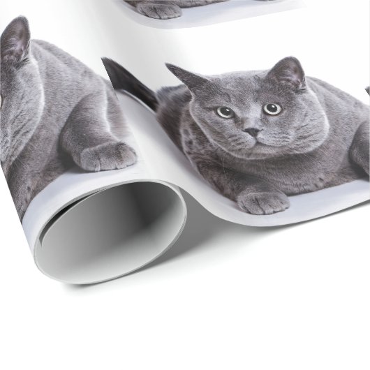 Papier Cadeau Chat gris (Coin rond)