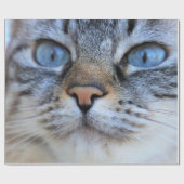 Papier Cadeau Chat gris (Plat)