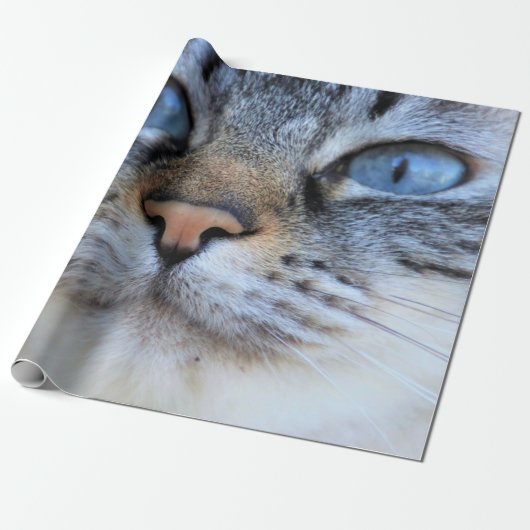Papier Cadeau Chat gris (Déroulé)