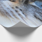 Papier Cadeau Chat gris (Coin)