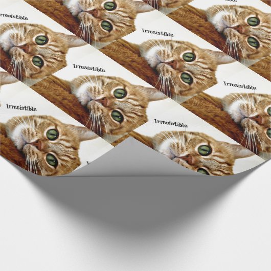 Papier Cadeau Chat irrésistible (Coin)