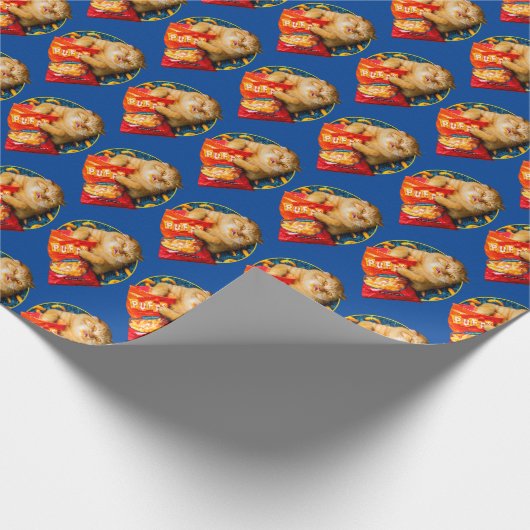 Papier Cadeau Chat mangeant des boulettes de fromage (Coin)