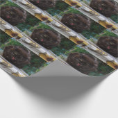Papier Cadeau Chat noir en colère (Coin)