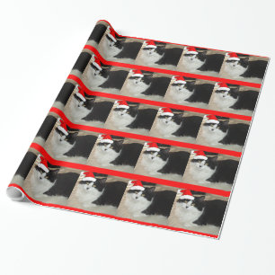 Papier Cadeau Chat noir et blanc de Noël