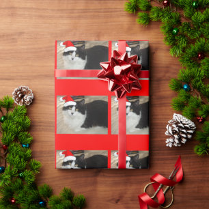 Papier Cadeau Chat noir et blanc de Noël