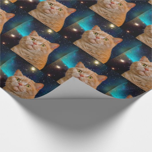 Papier Cadeau Chat observant l'espace (Coin)