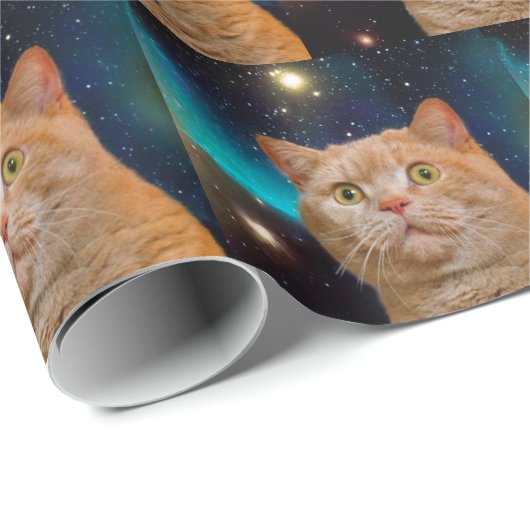 Papier Cadeau Chat observant l'espace (Coin rond)