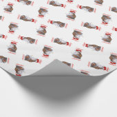Papier cadeau chat persan calico (Coin)