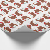 Papier cadeau chat persan rouge (Coin)