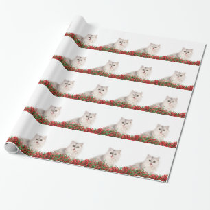 Papier Cadeau Chat perse de Noël