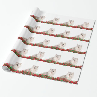 Papier Cadeau Chat perse de Noël