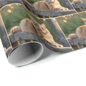 Papier Cadeau Chat roux sur une clôture rustique (Coin rond)