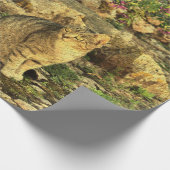 Papier Cadeau Chat se reposant dans le jardin (Coin)