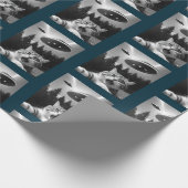 Papier Cadeau Chat Selfie OVNI Papier Enveloppant Noël Drôle (Coin)